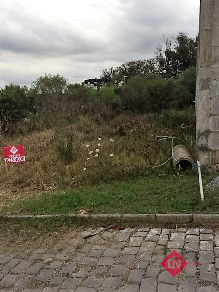 Terrenos<br />Bela Vista<br />Caxias do Sul<br /><br />Terreno em loteamento misto ideal para pavilhão. 0-0