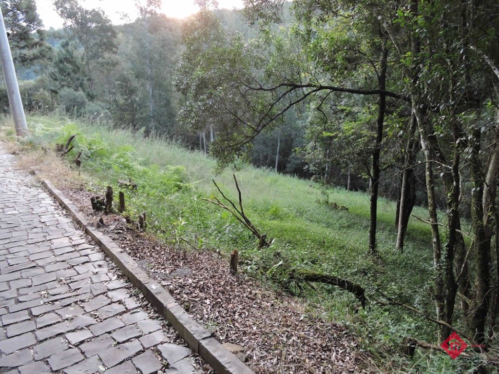 Terrenos<br />N. Sra da Saúde<br />Caxias do Sul<br /><br />Excelente Terreno localizado no Condomínio Angel com 2.485,00m de área privativa frente Oeste. 0-0