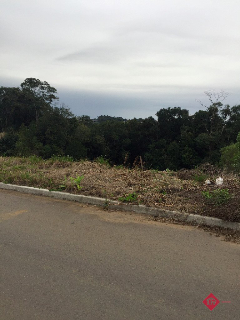 Terrenos<br />Vila Verde<br />Caxias Do Sul<br /><br />Excelente loteamento novo com terreno de 1567,88m área total, com toda a infraestrutura com pavimentação asfáltica, 5 min do centro. 0-0