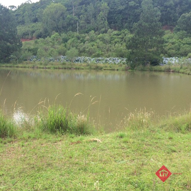 http://imoveisliv.com.br/vista.imobi/fotos/iv6o6b_10685671b3ea3ceb5.jpg