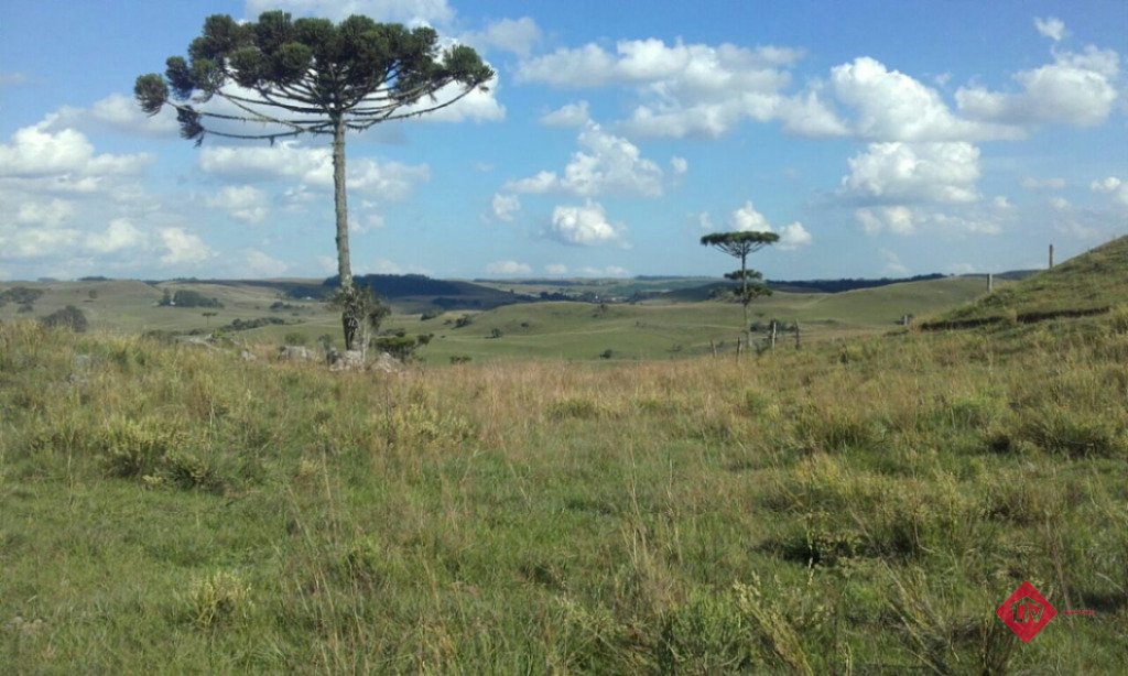 Propriedades Rurais<br />Apanhador - Críuva<br />Caxias Do Sul<br /><br />Excelente Chácara no Apanhador com 100.000,00m de área, 30 km de Caxias do Sul. Sem benfeitorias. 0-0